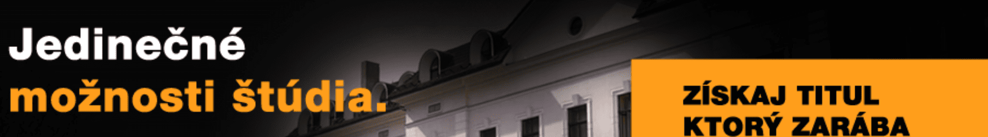 FPVaMV banner